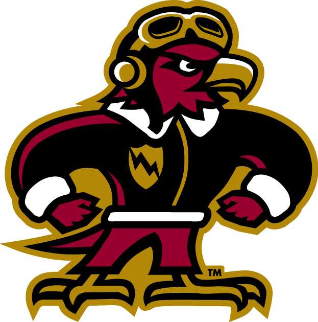 Louisiana-Monroe Warhawks 2006-Pres Misc Logo v5 diy fabric transfer